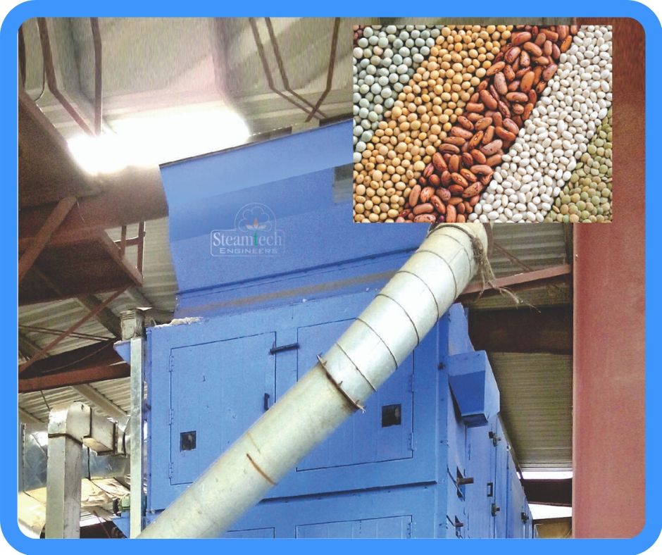 Pulses Drying Plant​